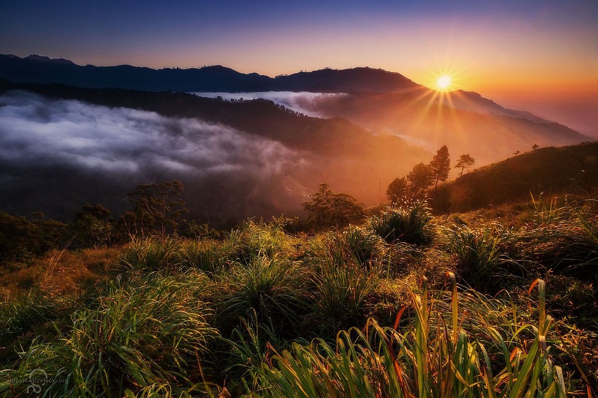 Adam's Peak Sunrise Trek