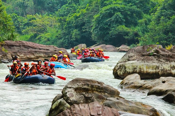 White Water Rafting in Kitulgala