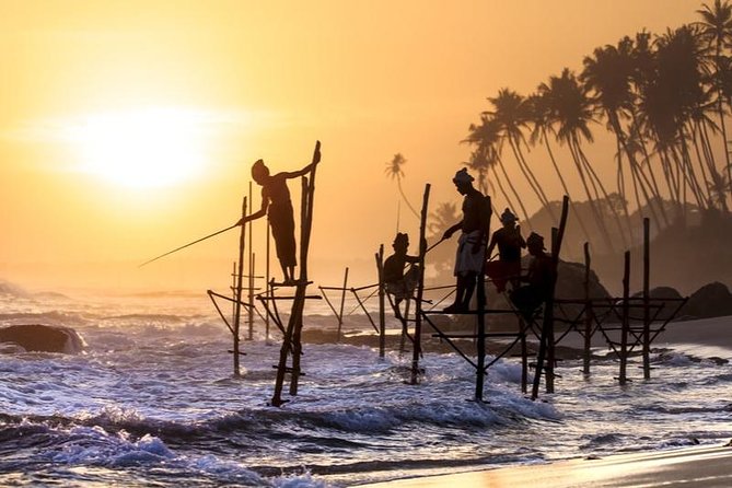 Stilt Fishing with Local Fishermen