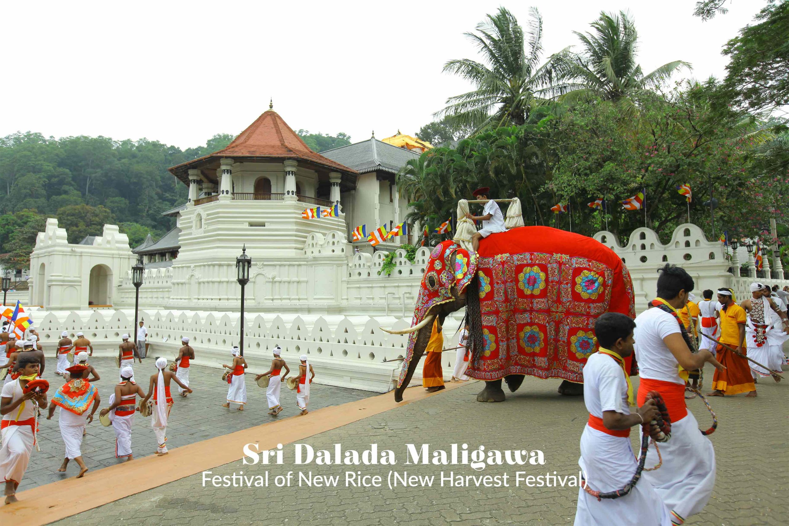Temple of the Sacred Tooth Ceremony