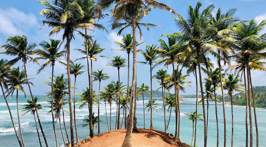 Mirissa & Coconut Tree Hill